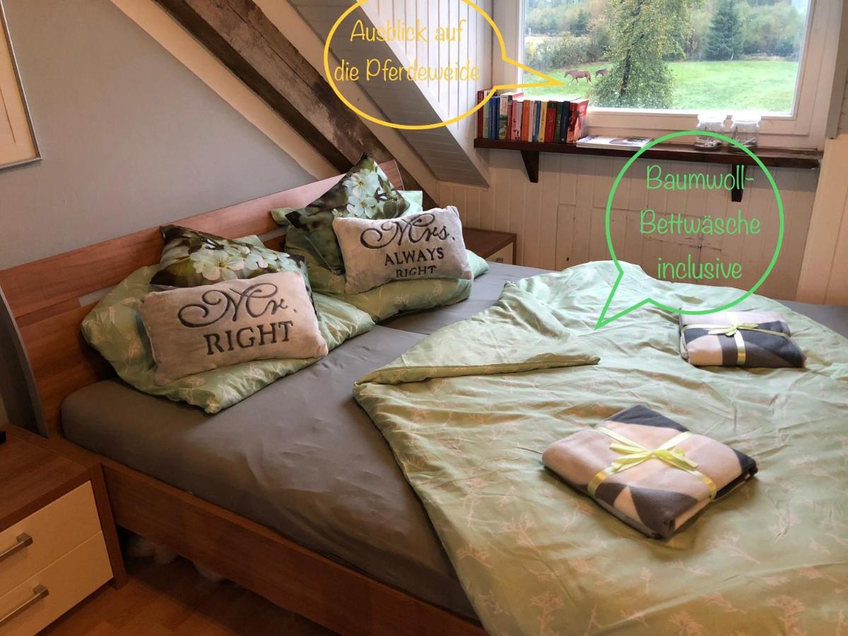 Studio - grosses Wohn-Schlafzimmer - Dachterrasse - Kamin - Küche - Hohes Venn - Monschau - Eifel - Hunde willkommen beim Hof Vierzehnender Exterior foto